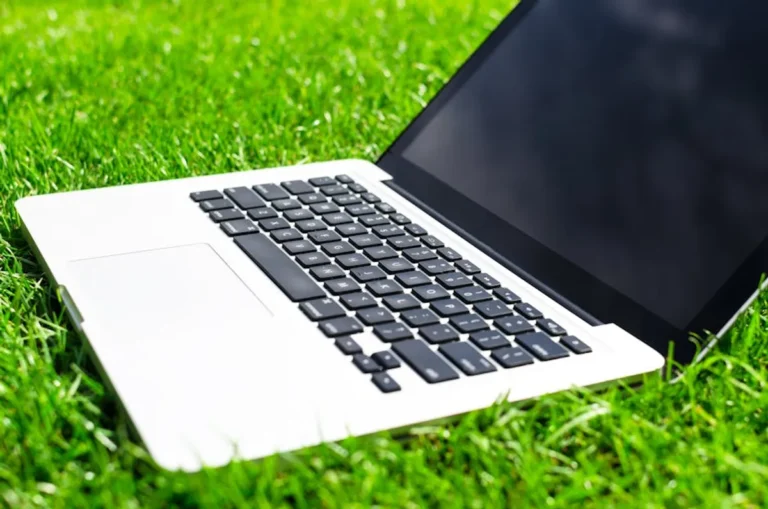 Kappaturf Review: What It Is, Features, Safety, and Alternatives