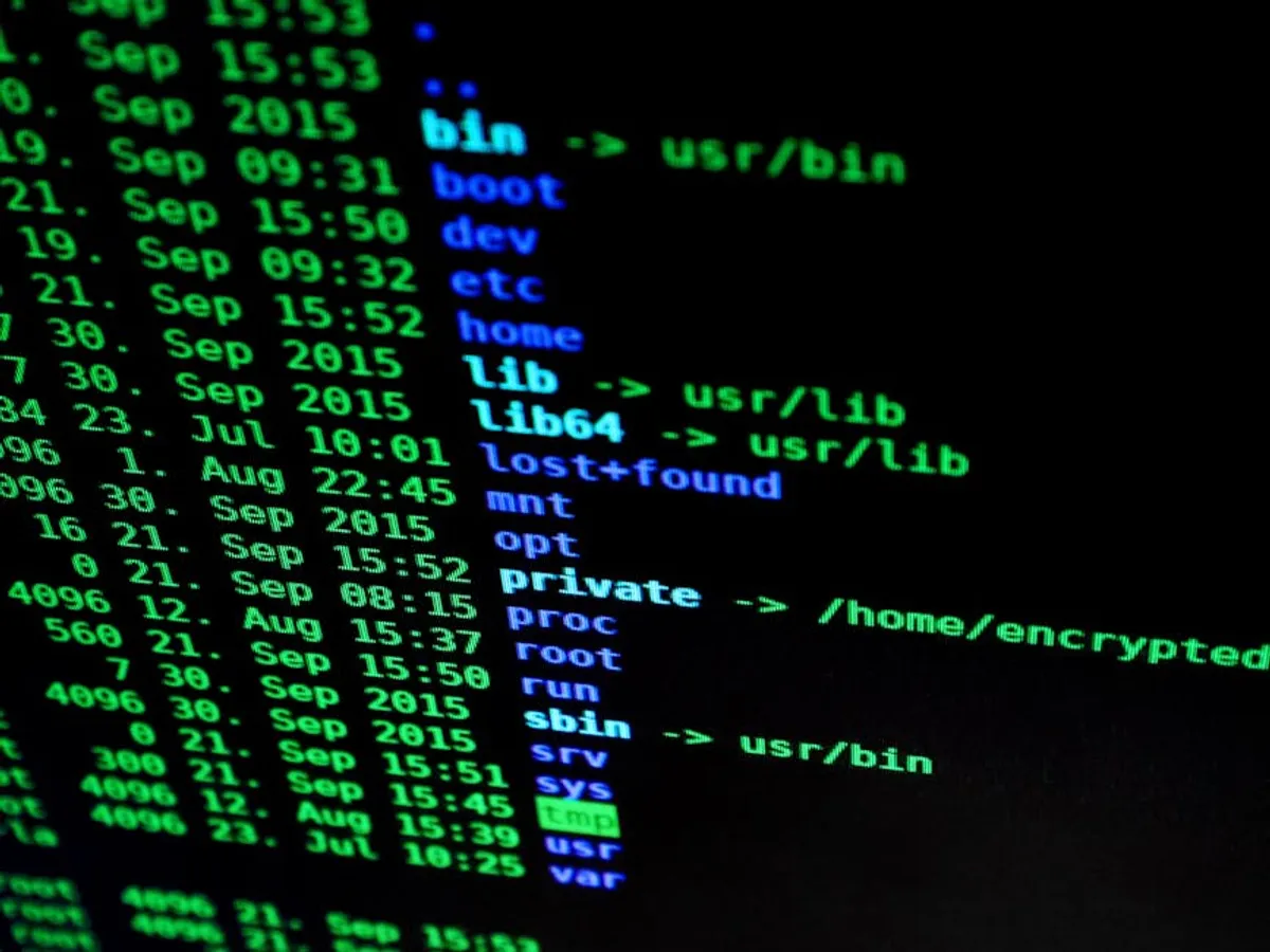Secure File Sharing: What Businesses Should Look For